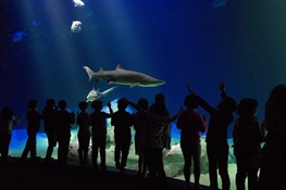 New York Aquarium and Queens Zoo Both Receive “Top Honors” at AZA Annual Conference Awards Ceremony